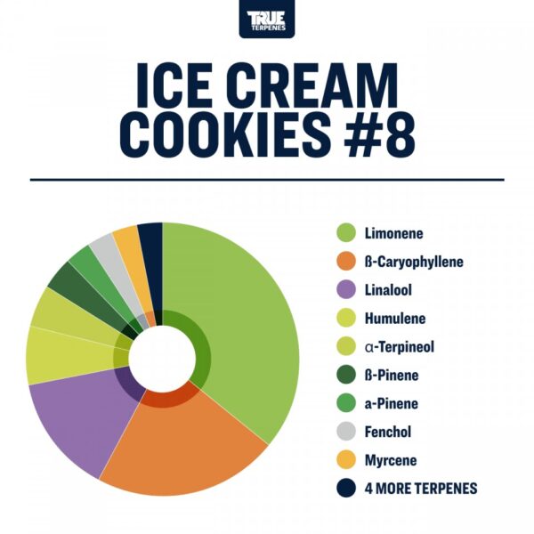 テルペン ICE CREAM COOKIE - 画像 (3)
